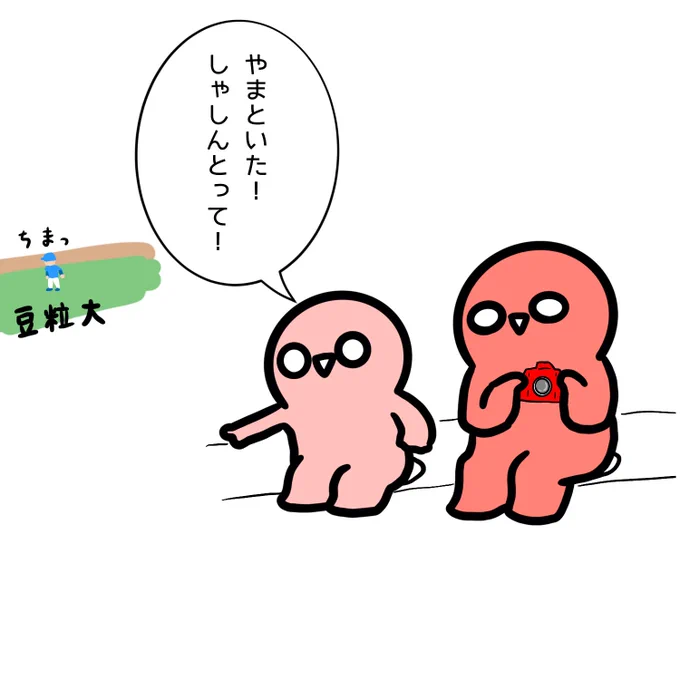 チビさん、遠くからでも大和さんを見つける能力が高いことが分かりました。 