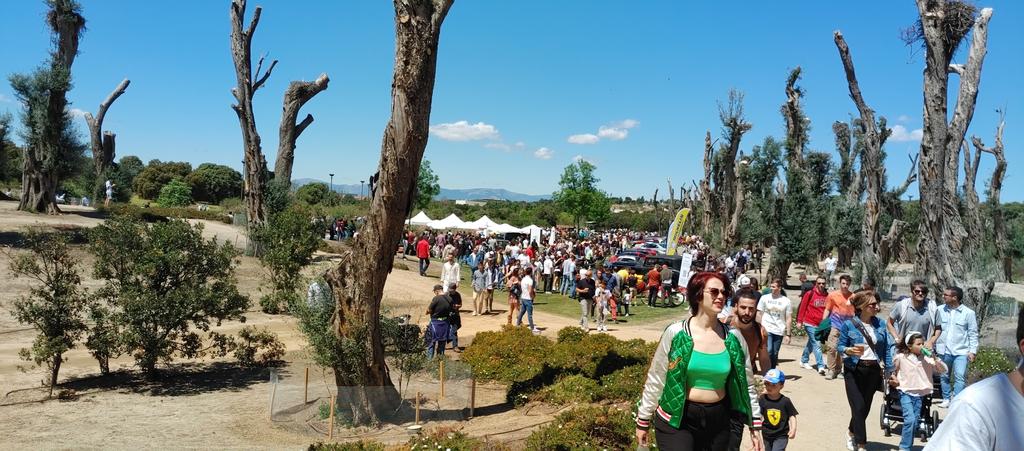 MovActual's tweet image. Para los que dicen no al coche 🤔🤔🤔🤔 #autopia