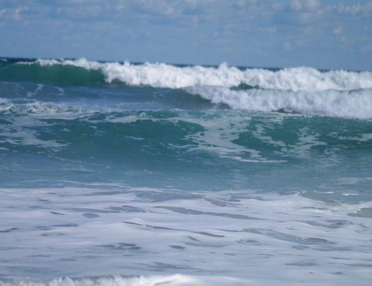 Alligator_Point's tweet photo. Looking for the best vacation spot? Alligator Point is the place to be. #alligatorpoint https://t.co/DDLgPKQ5Z8 https://t.co/DB6SwdwS0c
