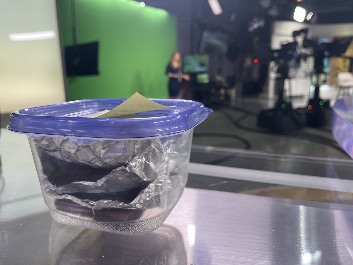 Gift from our 7:45am interview guest… bug brownies to try on air.😳 ⁦@AlexLehnertFox9⁩ is VERY excite. This should be interesting.