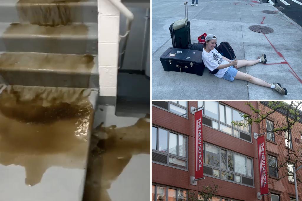new-york-post-on-twitter-27k-per-year-new-school-dorms-plagued-by