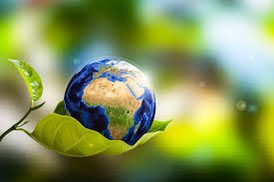 ISHA45620763's tweet photo. Soil is the source of our physical existence. Soil contains billions of micro-organisms. Their lives are a complex process. As it grows, a life is created.That is why human life is rooted in it #SoilsUs https://t.co/VrEzi79Qvk