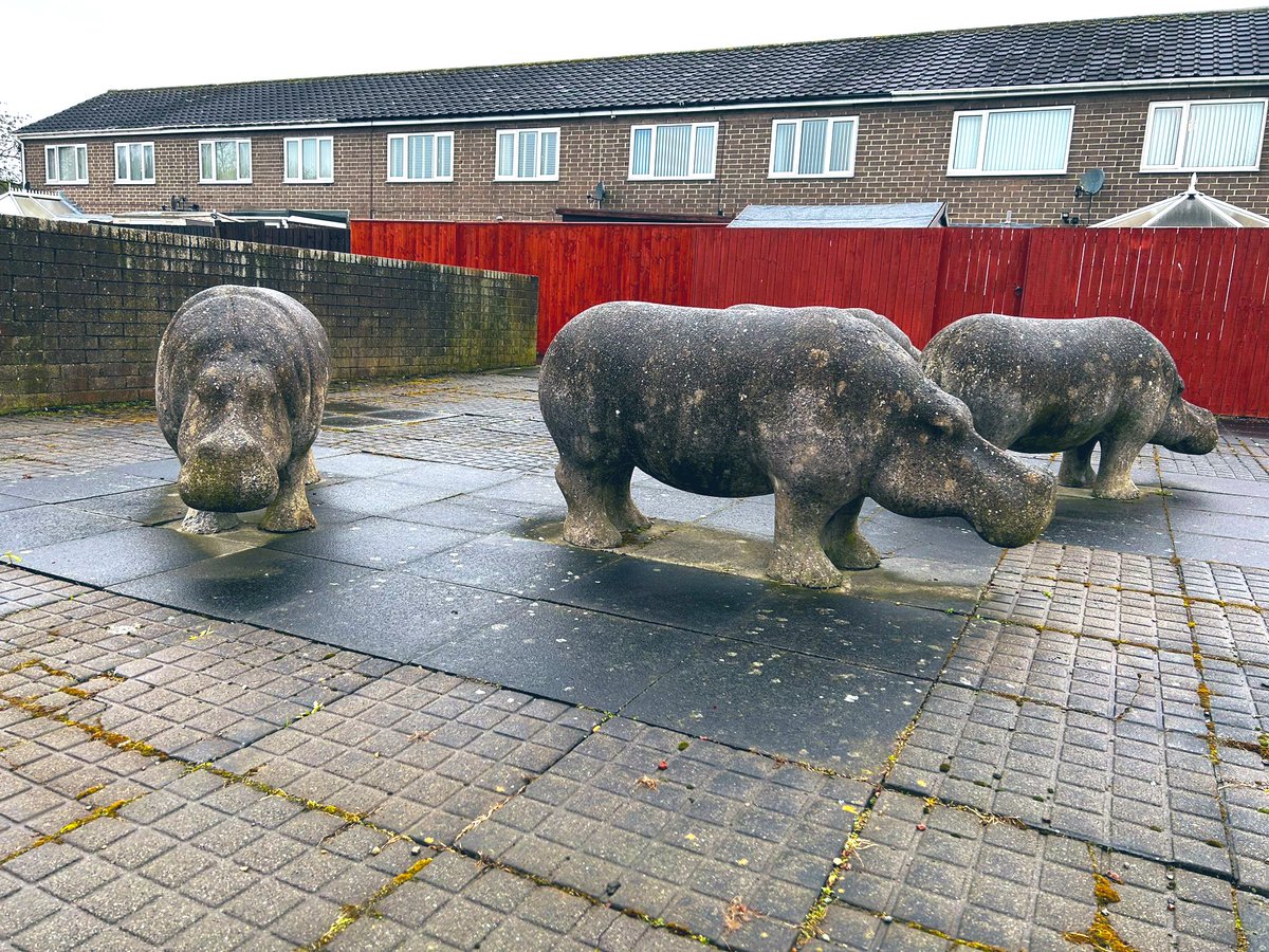 WorldBollard tweet picture
