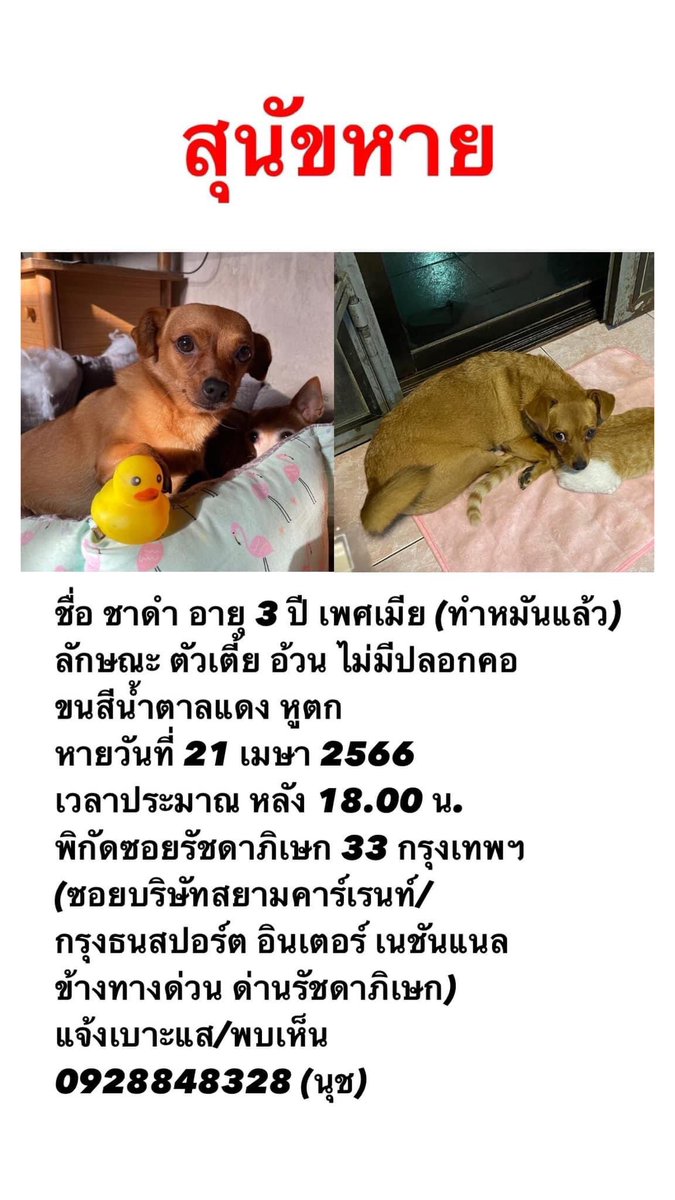 Pa.ued ปื้ดอุ๋งเปี๊ยกนิดเดี๋ยว tweet media