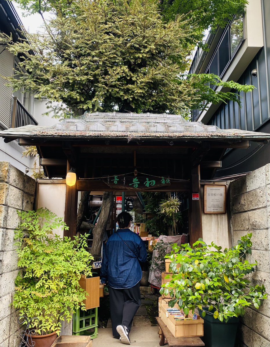 ellanojams's tweet photo. Namjoon would have loved this place 🥹
#booksforRM #bonsaiforRM #KimNamjoon https://t.co/hzuN0MMWL4