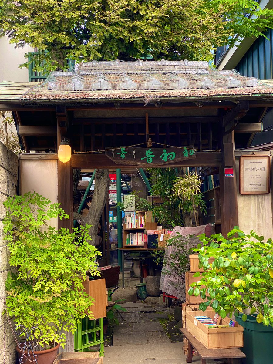 ellanojams's tweet photo. Namjoon would have loved this place 🥹
#booksforRM #bonsaiforRM #KimNamjoon https://t.co/hzuN0MMWL4