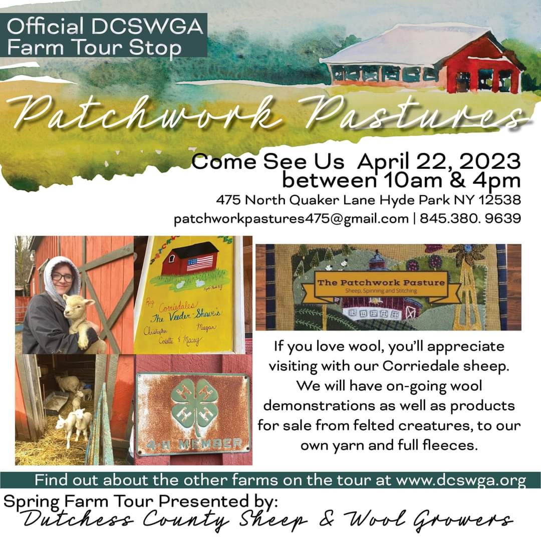 Shaveblade's tweet photo. We are getting ready for today's Spring Farm Tour organized by the Dutchess County Sheep and Wool Growers! Patchwork Pastures Is excited to participate in this 12 farm tour of the Hudson Valley. Come see the sheep &amp; a variety of wool products. #sheep #wool https://t.co/YjapZF7ipJ