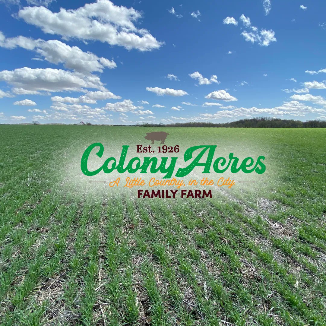 ColonyAcresIA's tweet image. 🌎Happy Earth Day!🌎

One thing Colony Acres does help make a difference is planting cover crops.🌱 These crops cover the soil that will eventually be our sunflower🌻 and pumpkin🎃 fields when the time comes. What are you doing the celebrate Earth Day today?

#EarthDay #LocalFarm