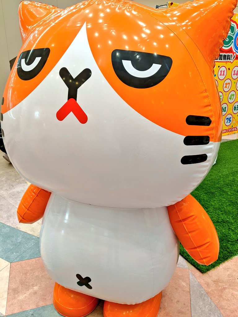 godbless1969's tweet photo. ふてニャン by ワイモバイル
角度によっては目が違って見えたのは気のせいか。
処で #GooglePARK ってなに? https://t.co/4rHqKmeqgu