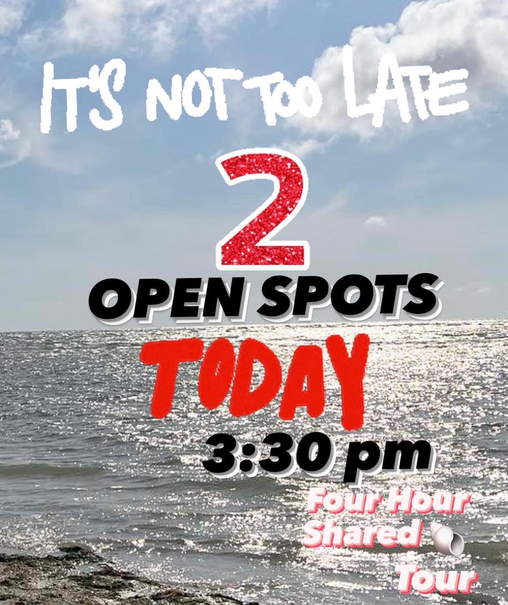 shelling_tours's tweet image. Let’s Go Shelling Together ! 🐚We have TWO OPEN SPOTS Today on our Four Shared Shell Tour ! Call 239-571-2331 to reserve your SPOT ! ❤️🐚
🐚
🐚
🐚
treasureseekersshelltours.com
🐚
🐚
🐚
Only Collect Empty Shells 🐚
🐚
🐚
#shellsofinstagram #treasureseekershelltours #treasureseekersfl