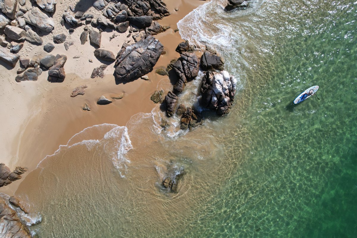 Monica Richards tweet media