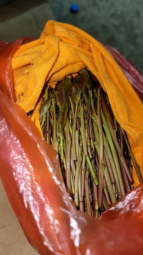 من العايدين الفايزين الغانمين يااارب❤️‍🔥.

كل عام ونتو بالف خير وصحه وعافيه يارب❤️‍🔥❤️‍🔥❤️‍🔥❤️‍🔥❤️‍🔥.

وش مسوين بلعيد كيف بتبدو يومكم😁❤️‍🔥❤️‍🔥❤️‍🔥❤️‍🔥❤️‍🔥❤️‍🔥❤️‍🔥❤️‍🔥.