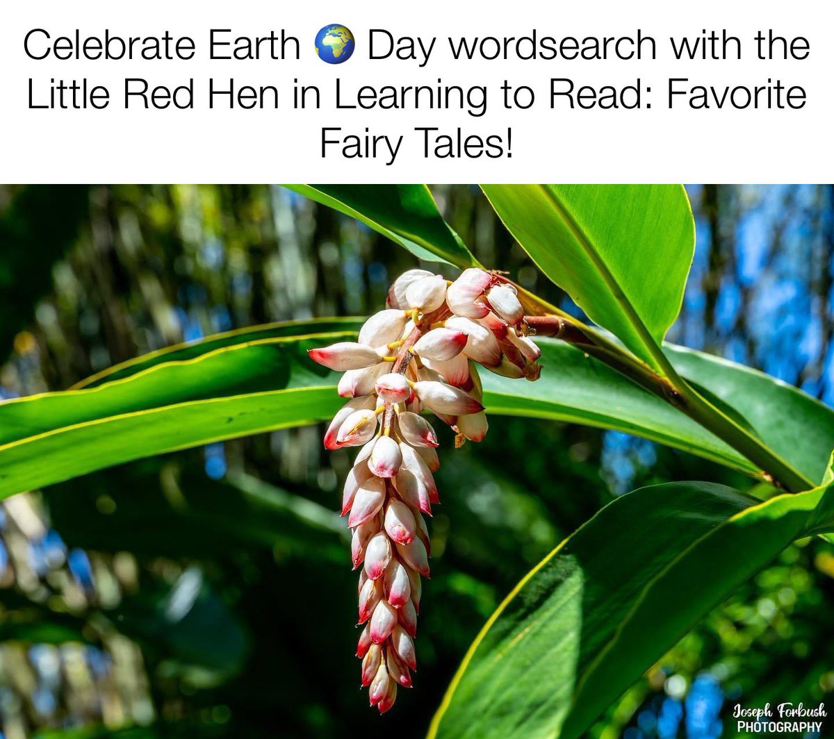 Christianz4ever's tweet photo. Play Earth 🌍 Day Wordsearch with the Little Red Hen! https://t.co/LVLDGIcCZU #earthdaywordsearch #EarthDay2023 #ldsbookstore #bestkidsaudiobooks #ChildrensBooks #childrensaudiobooks #josephforbushphotography #homeschool #learning #learningtoread #favoritefairytales #Christians https://t.co/tPNbp1zCWe