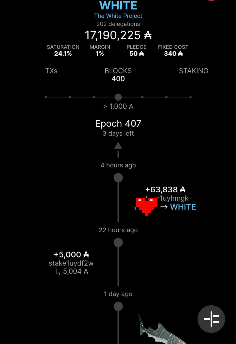 CriptogirlB's tweet photo. A new fish in the pond, the love pond.

Thank you.
#Cardano delegators, wishing us the best of lucks.
#WHITEpool
Have a great Saturday.🤍 https://t.co/n7DoaGQ22u