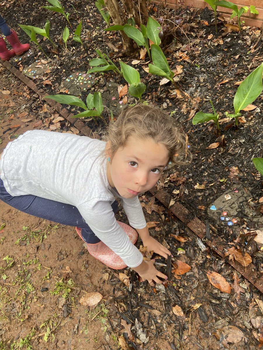 SHEASLab's tweet photo. SHE Ss lend a hand to our land on #EarthDay2023 @lorriebearden @summithillpto https://t.co/tReWDMpy1j