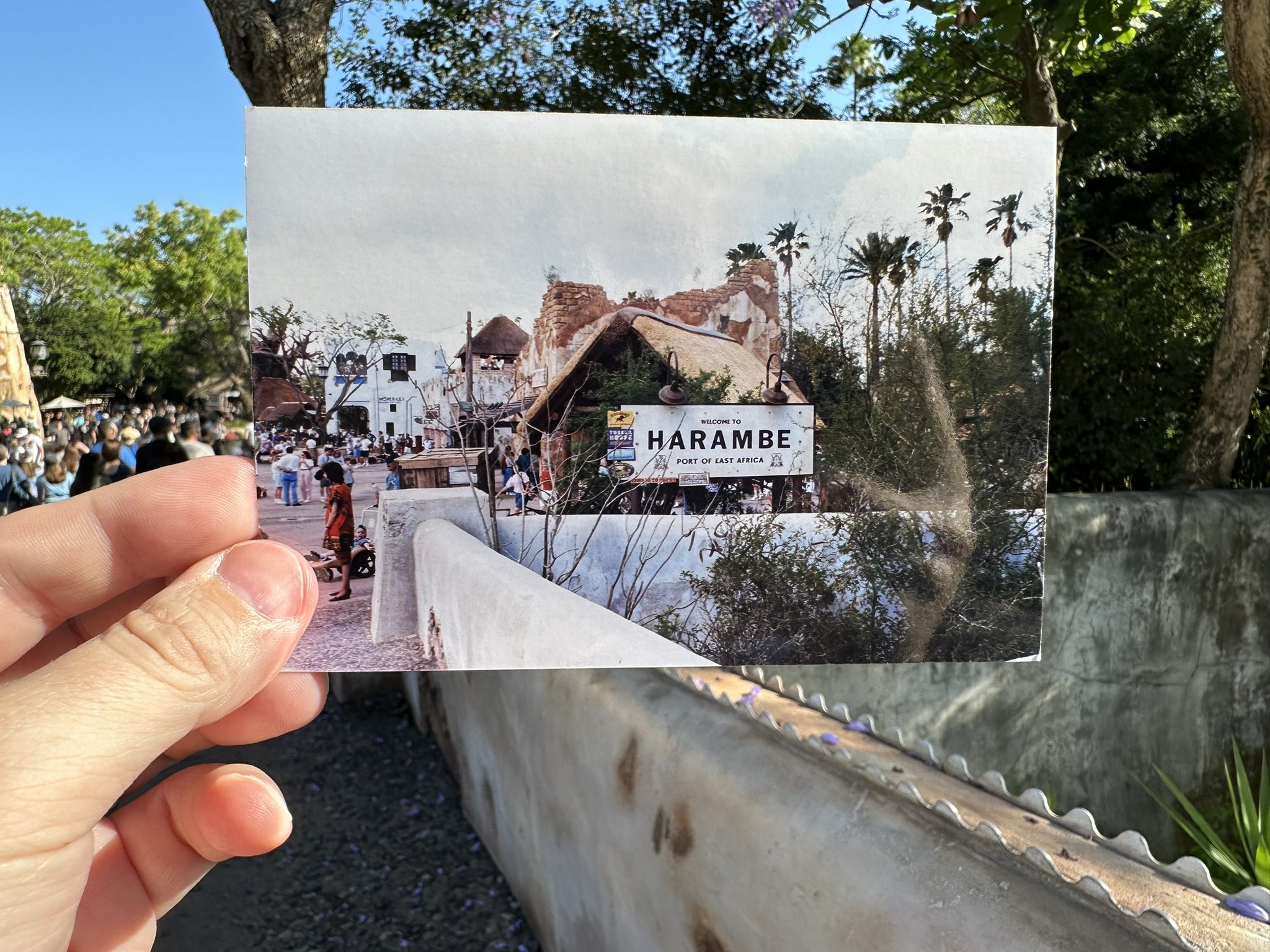Person holding up a printed photo of the Harambe sign at Disney’a Animal Kingdom