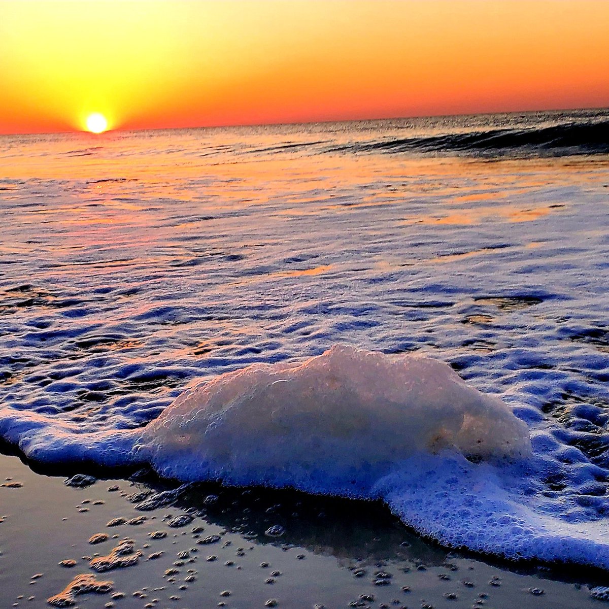 Happy #EarthDay 🌍