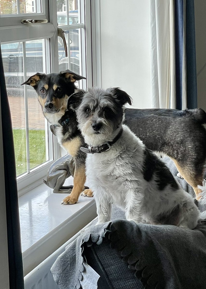 border70's tweet image. Caught in the act shouting at a delivery driver.