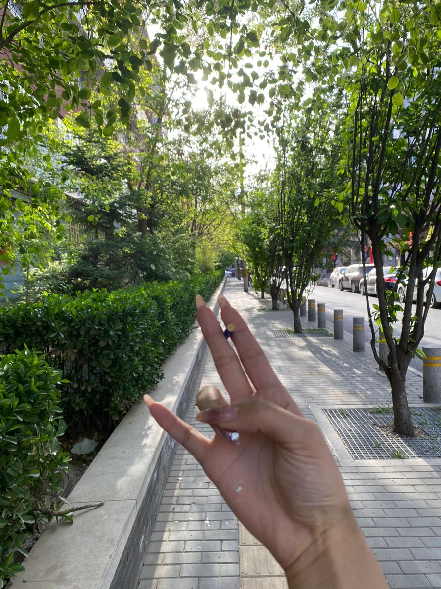 RevaRuther60258's tweet photo. 别让生活蹂躏了你的眉目间的温柔。 https://t.co/CVzG9hyFRb