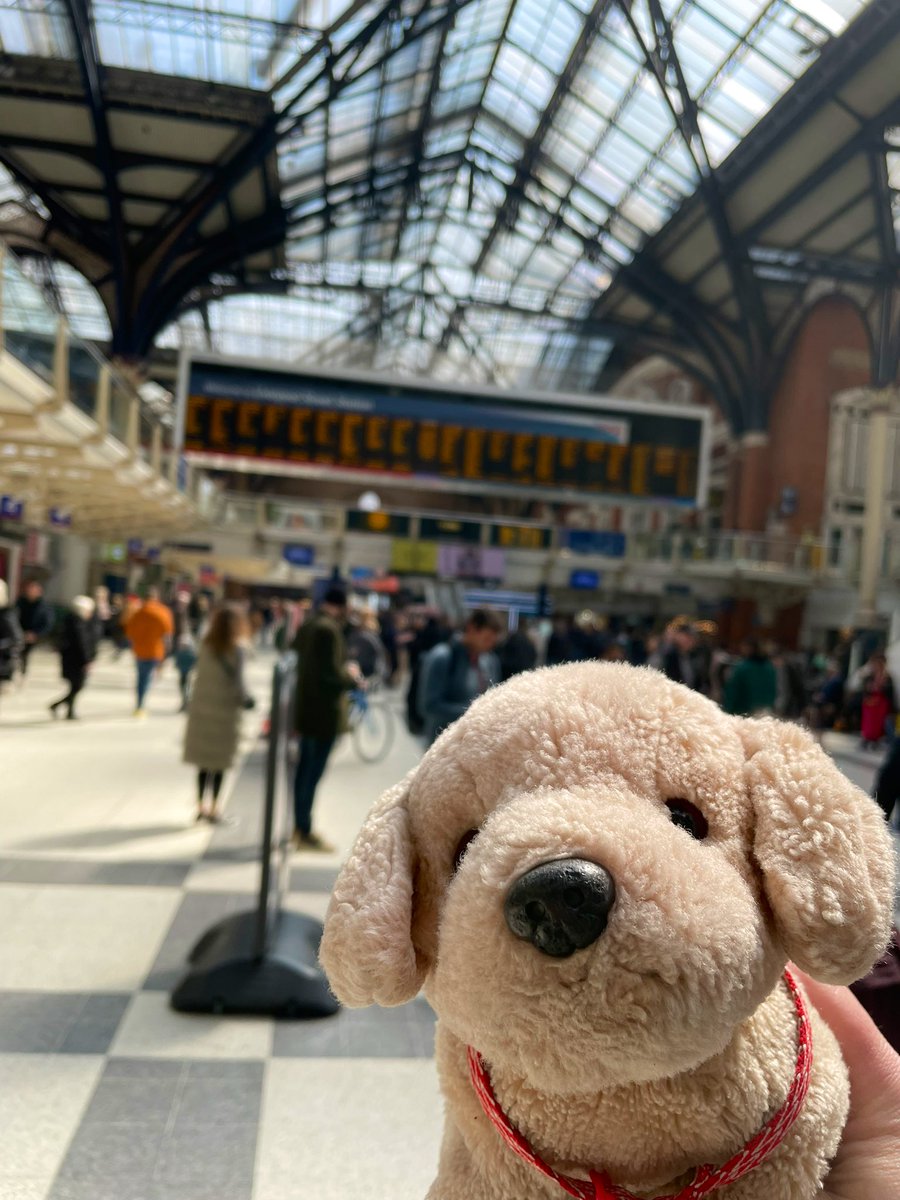 Some more clues about where I’m enjoying an adventure today. Can you guess where I am yet…?