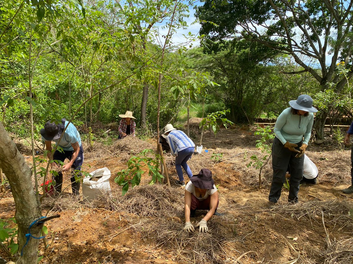 Rachel Olson 🚢 tweet media