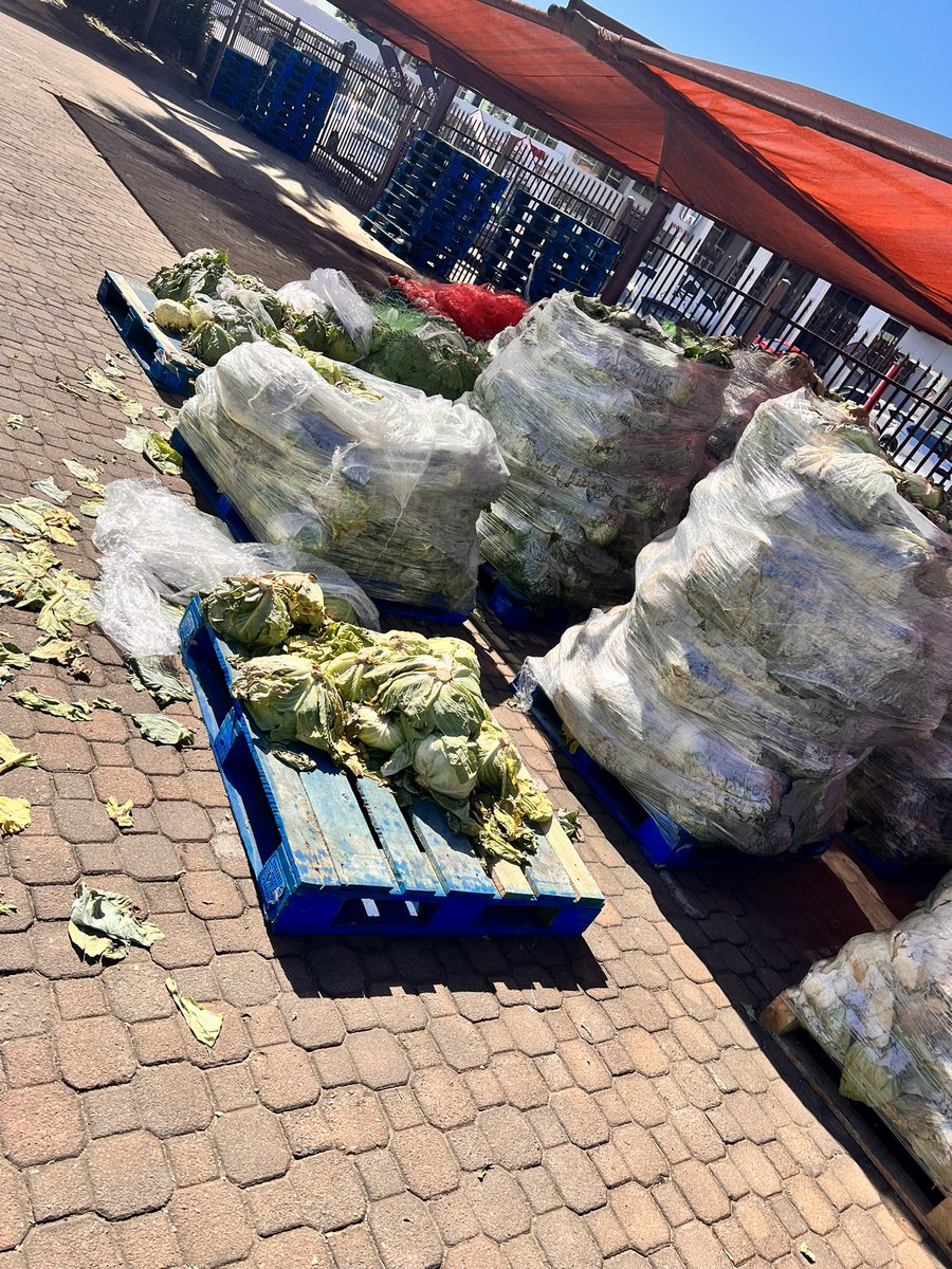 ComfortThami's tweet photo. @_AfricanSoil Some of the schools in uThukela district never received food for learners upto date, and these pictures were taken at district office (ladysmith) , the cabbages and butternut are now stinking after being there for four days in the sun. Its sad 🚮 https://t.co/Htyo79mVOJ