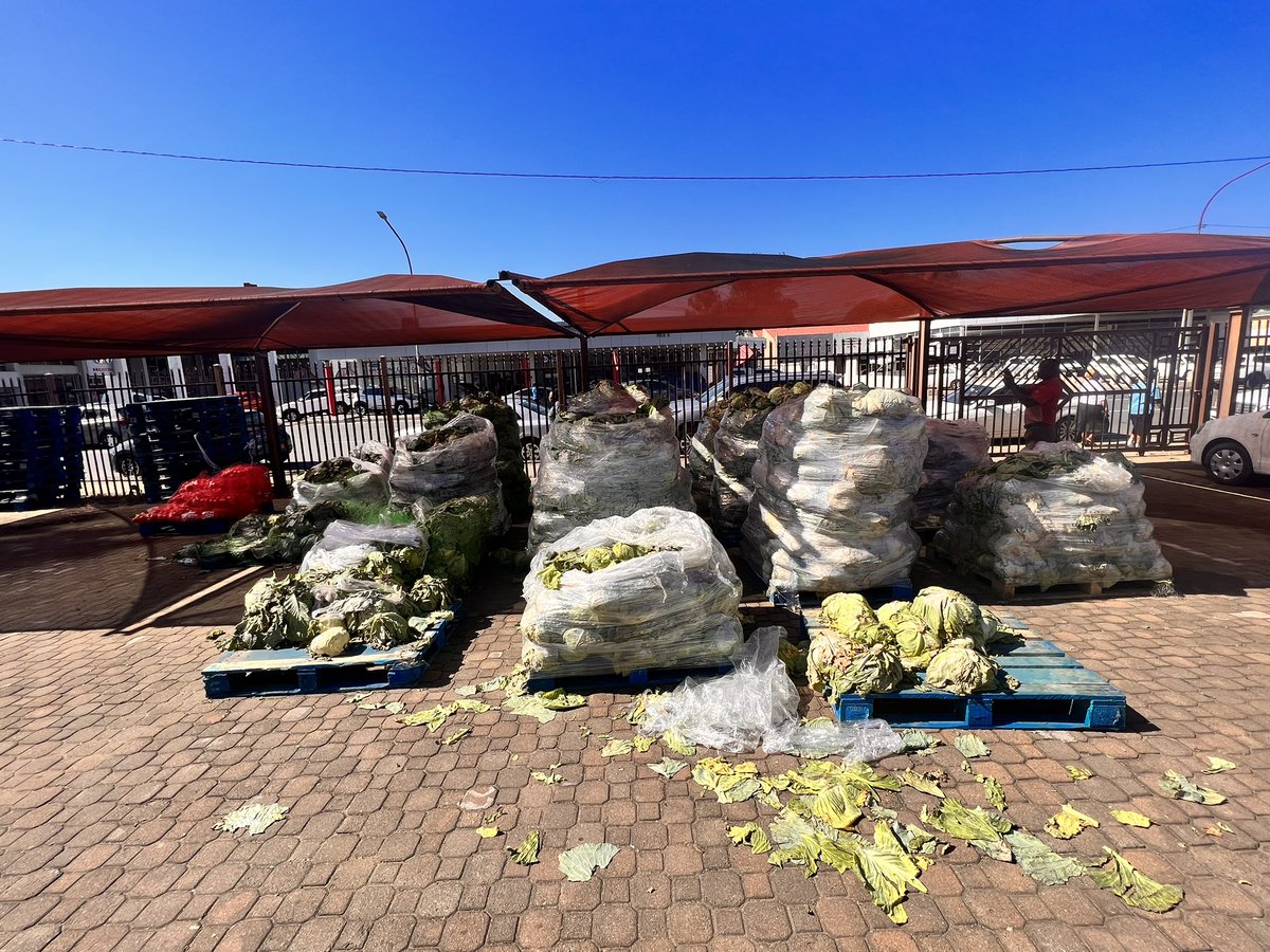 ComfortThami's tweet photo. @_AfricanSoil Some of the schools in uThukela district never received food for learners upto date, and these pictures were taken at district office (ladysmith) , the cabbages and butternut are now stinking after being there for four days in the sun. Its sad 🚮 https://t.co/Htyo79mVOJ