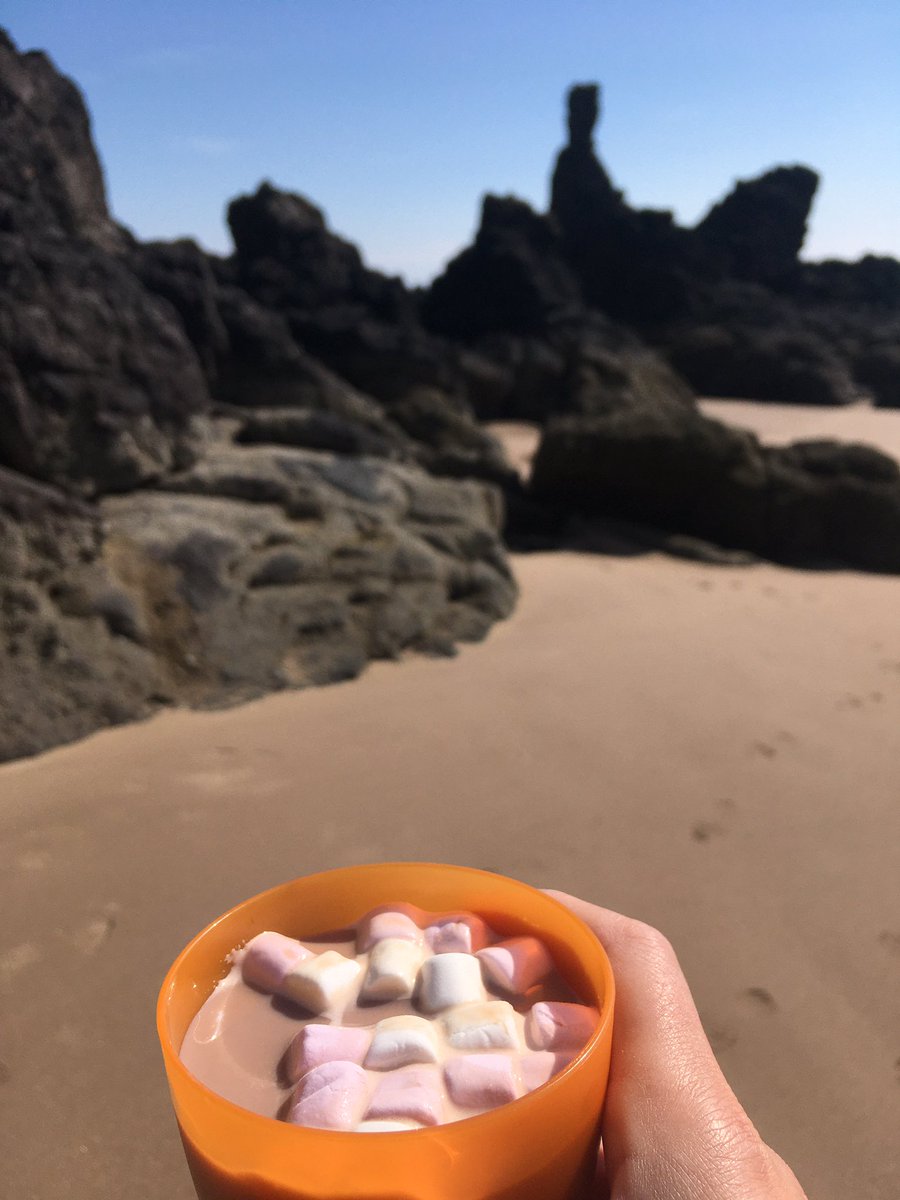 Tara Stephens tweet media