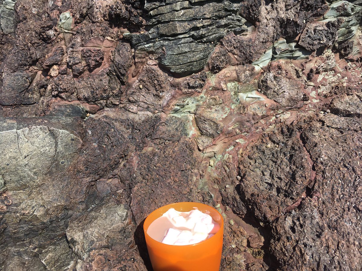 Tara Stephens tweet media