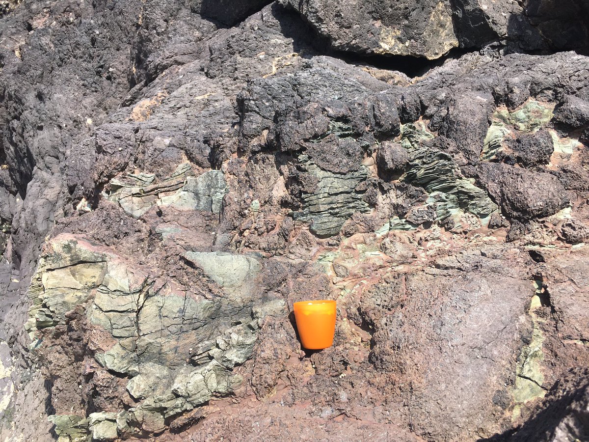 Tara Stephens tweet media