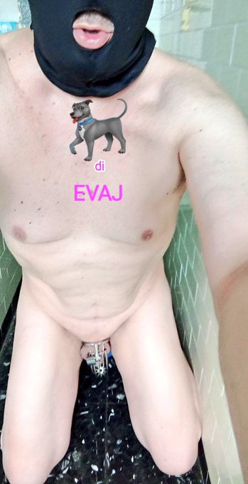 Cane di @Eva_J81 Sempre ai Suoi piedi🦮🙇🔐👑 https://t.co/vhBxWfVjq2<a class="tags" target="_blank" title="On Twitter" href="/?out=eyJ0eXAiOiJKV1QiLCJhbGciOiJIUzUxMiJ9.eyJpYXQiOjE3MjQ4MzAyNzUsImlzcyI6InR3cG9ybnN0YXJzLmNvbSIsIm5iZiI6MTcyNDgzMDI3NSwiZXhwIjoxNzU2MzY2Mjc1LCJyZWRpcmVjdF91cmwiOiJodHRwczovL3R3aXR0ZXIuY29tL0V2YV9KODEifQ.wOPiDE5pa4BUA7q1XmKw2L12D8owI_cTypxLoOmlEIJXhlvQb4z83dAKdCjUA2KSfQYLXn9qQRzvWZSK1OjGGg">@Eva_J81</a><a href="/tag/goddess"class="tags"><span>#goddess</span></a><a href="/tag/femdom"class="tags"><span>#femdom</span></a>