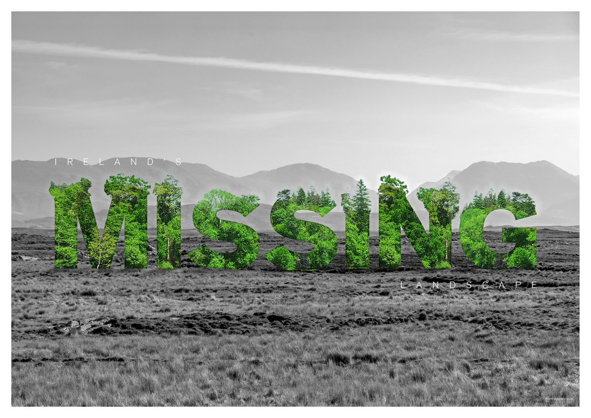 Mark Hayes tweet media