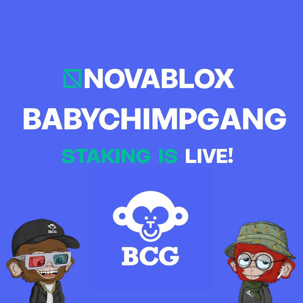 NOVABL0X - AI-Powered Web3. tweet media