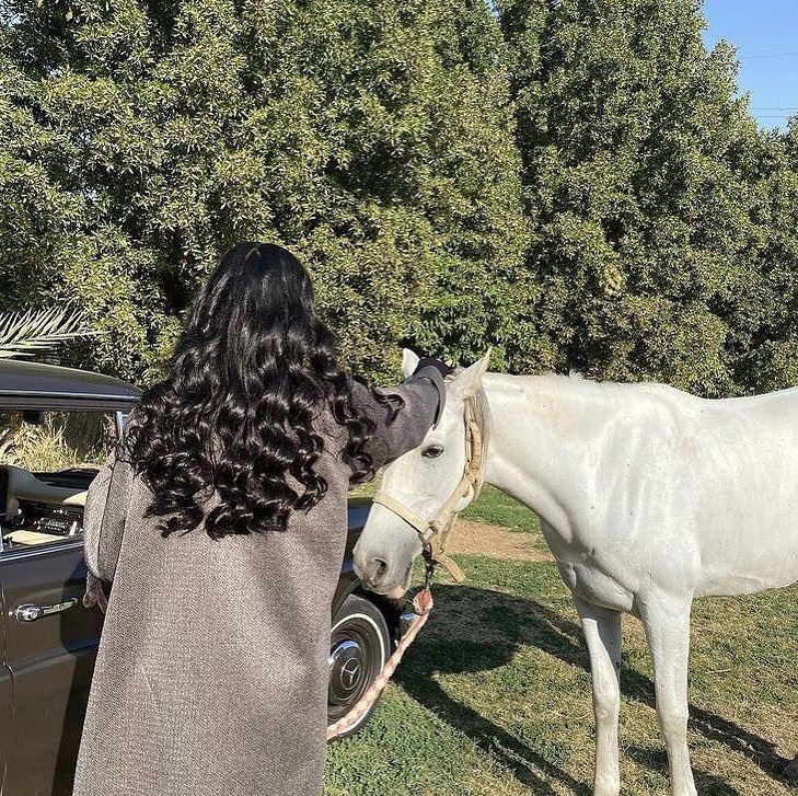 AylanRayaa36353's tweet photo. في صهيل الخيل طرب لا يعرفها الا عشاقها👌🏻♥ https://t.co/b1aiyFyny8