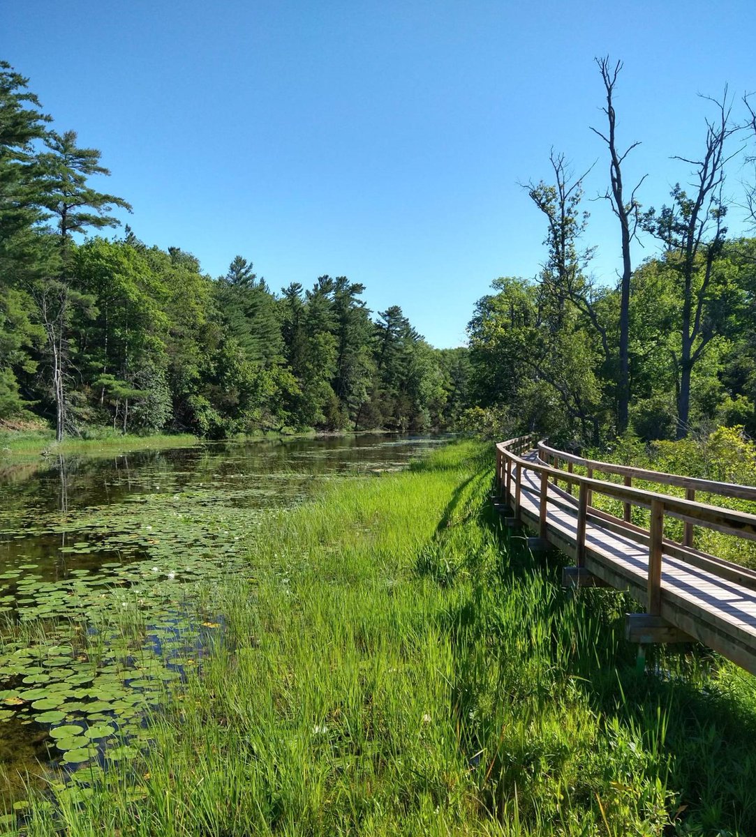 FriendsofPinery's tweet photo. #EarthDay2023 reminds everyone to raise awareness of environmental issues & promote conservation efforts to protect our planet. We are proud to help take care of & protect this beautiful part of our planet for future generations.
#earthdayeveryday #earthishome #savetheplanet https://t.co/LWITnKG4uv