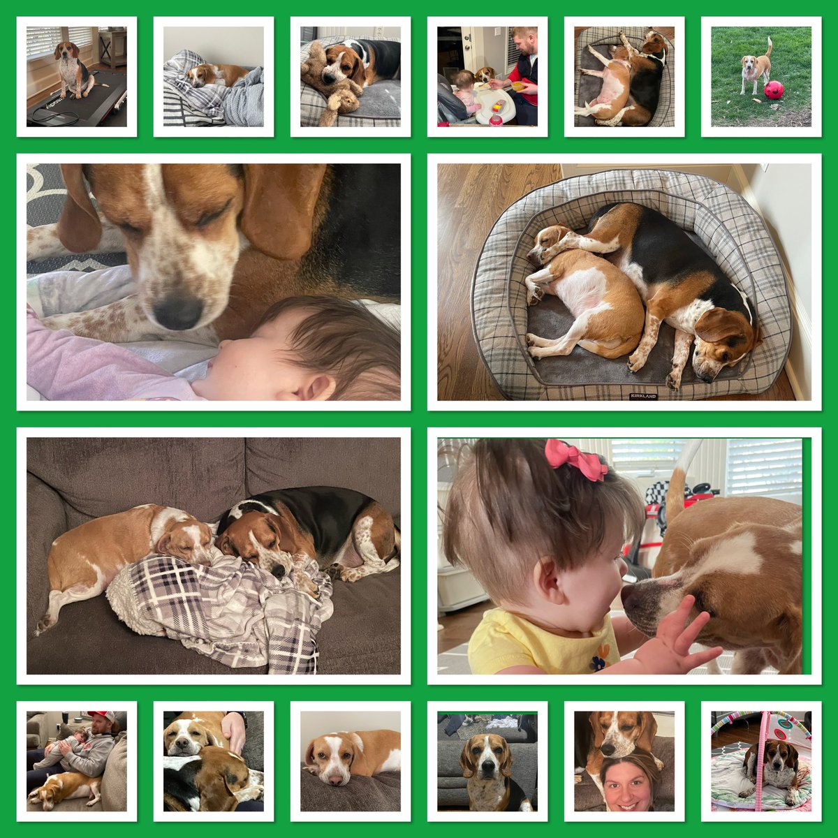 Corey Beagz tweet media