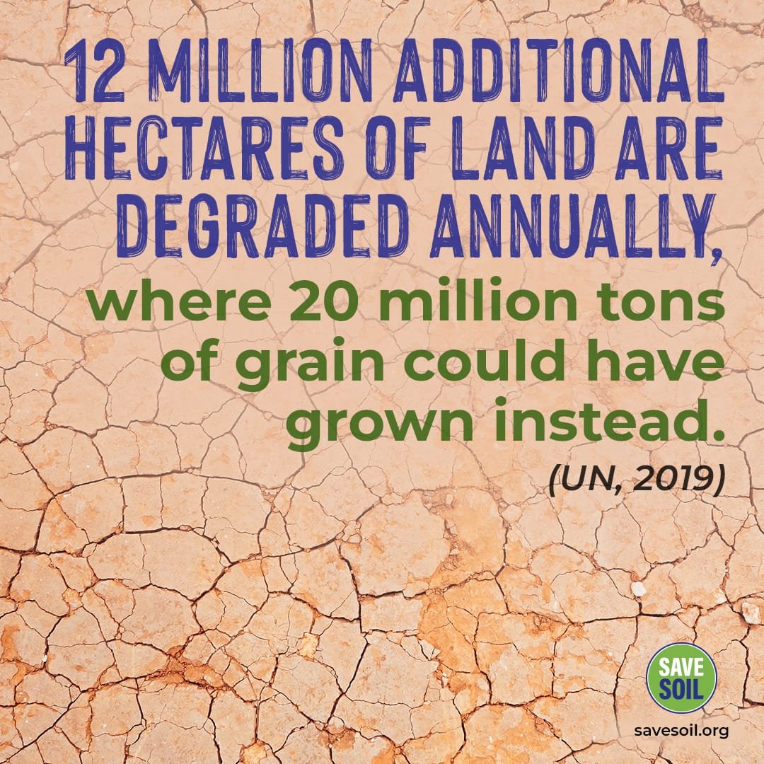ivikrampratap's tweet photo. One year on, the Save Soil movement continues to make progress in protecting our soil and promoting sustainable farming practices. Let's keep it going! #SoilisUs https://t.co/XvNqXYDjL8