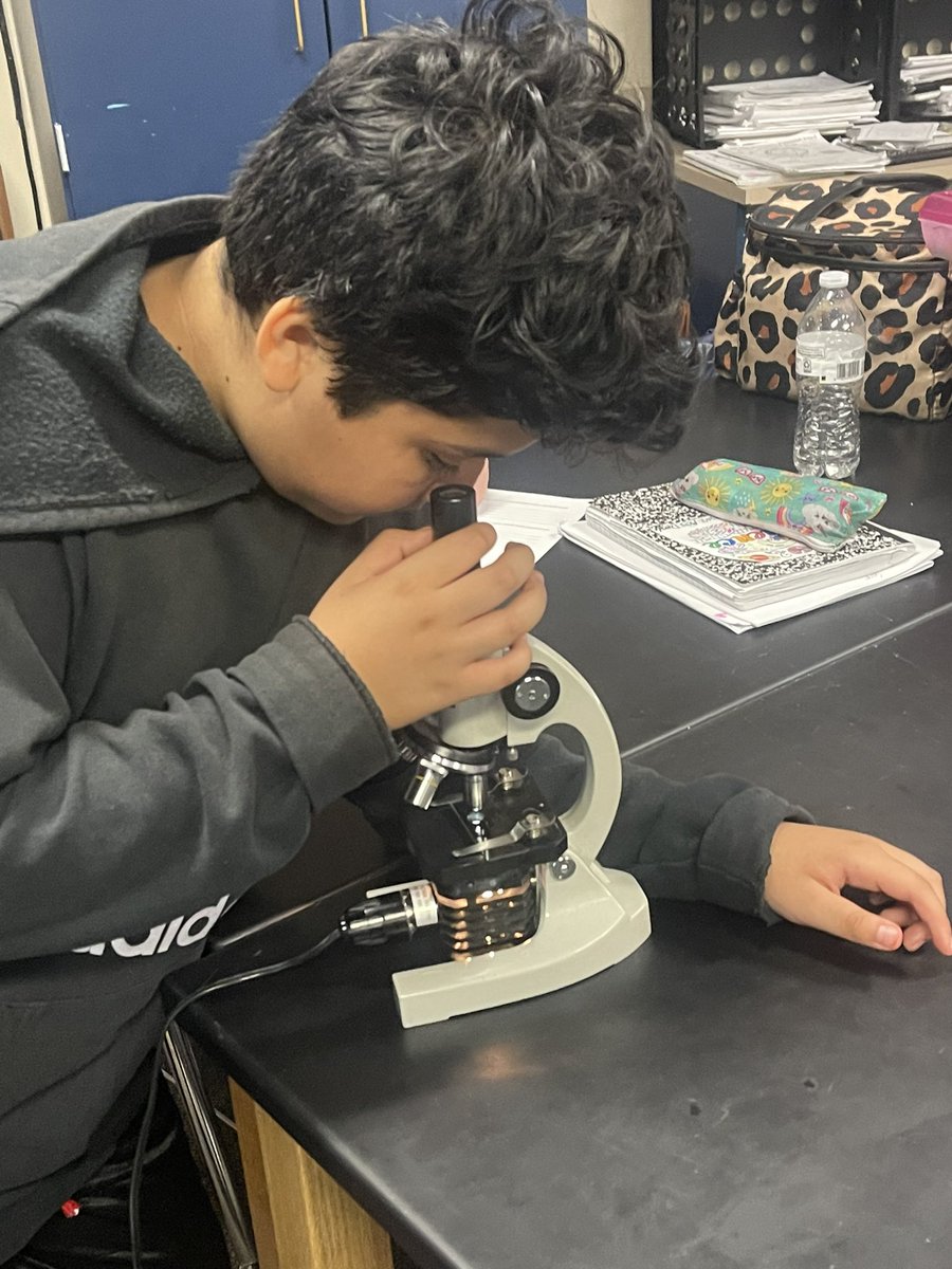 sciencewithcobb's tweet photo. This weeks pond water lab 🧫 🔬👩🏻‍🔬 @ConroeISD @vogeltexans https://t.co/TLDILSFakb