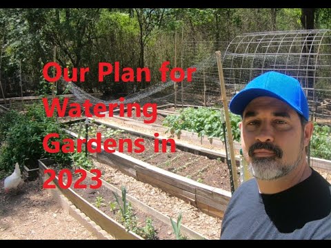 Our Garden Watering Plan for Summer of 2023
 
#Chickens #GardenPlans #Gardening #MicroHomestead #Organic
 
allforgardening.com/449675/our-gar…
