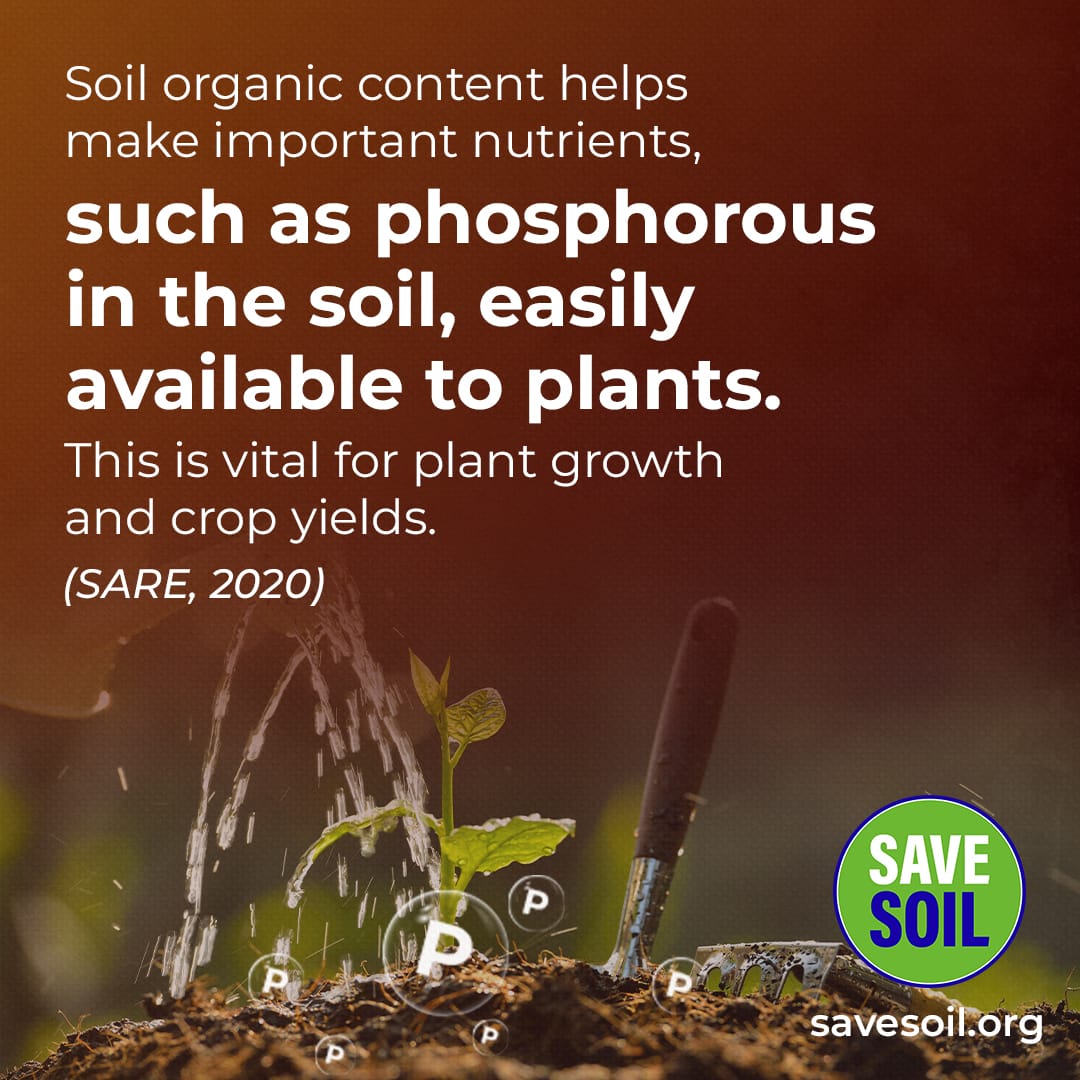 ivikrampratap's tweet photo. The Save Soil movement is a reminder that we all have a role to play in protecting our planet. Let's continue to work together for a brighter future! #SoilisUs https://t.co/kgdrUp0jEP