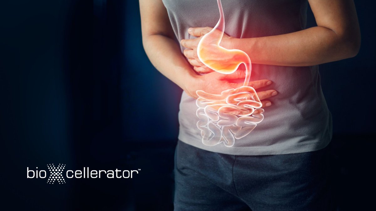 bioXcellerator's tweet photo. Gastrointestinal (GI) disorders can affect any part of the digestive system, causing a range of symptoms and challenges. Early diagnosis and treatment are essential. #GIDisorders #DigestiveHealth #bioXcellerator
https://t.co/j3yzWglpFk https://t.co/TypT8wzdTa