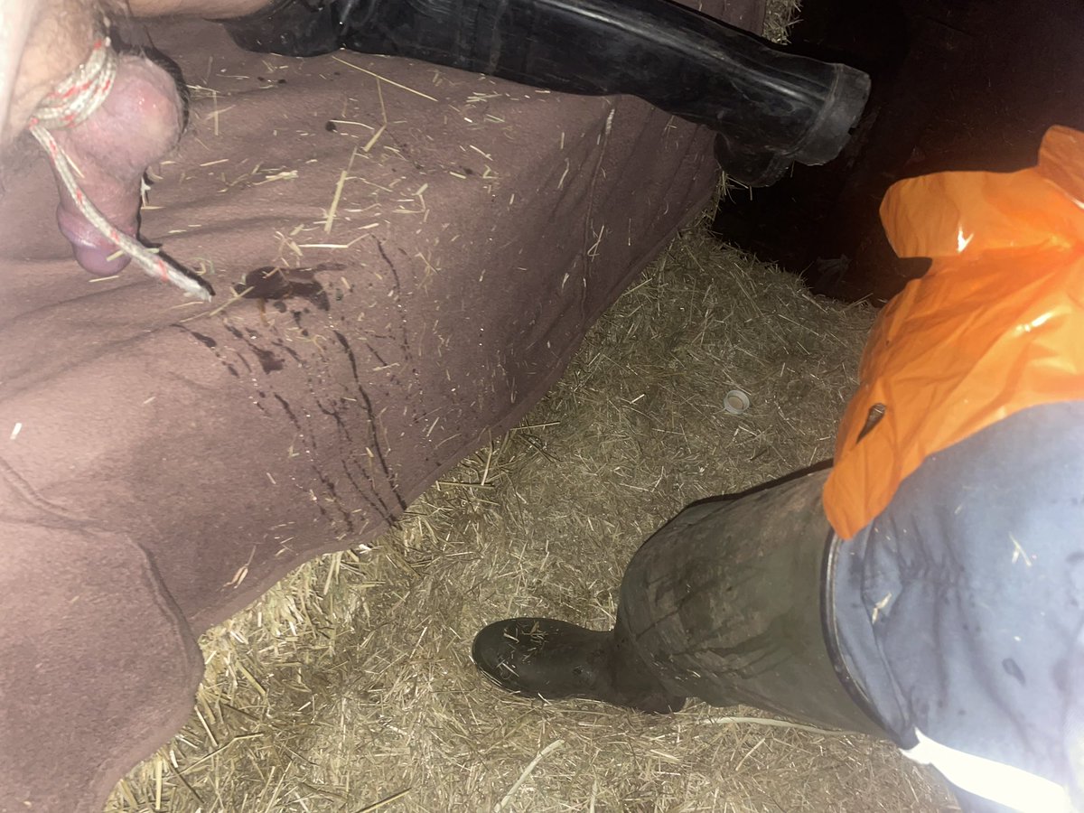 Horny in the farm