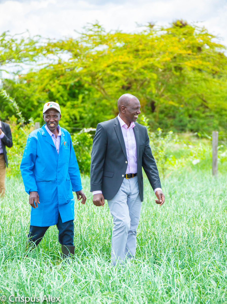 WilliamsRuto's tweet photo. This shift from rain-fed agriculture will also enhance farmers’ earnings apart from making our country food sufficient. https://t.co/fHRW1YtgAy