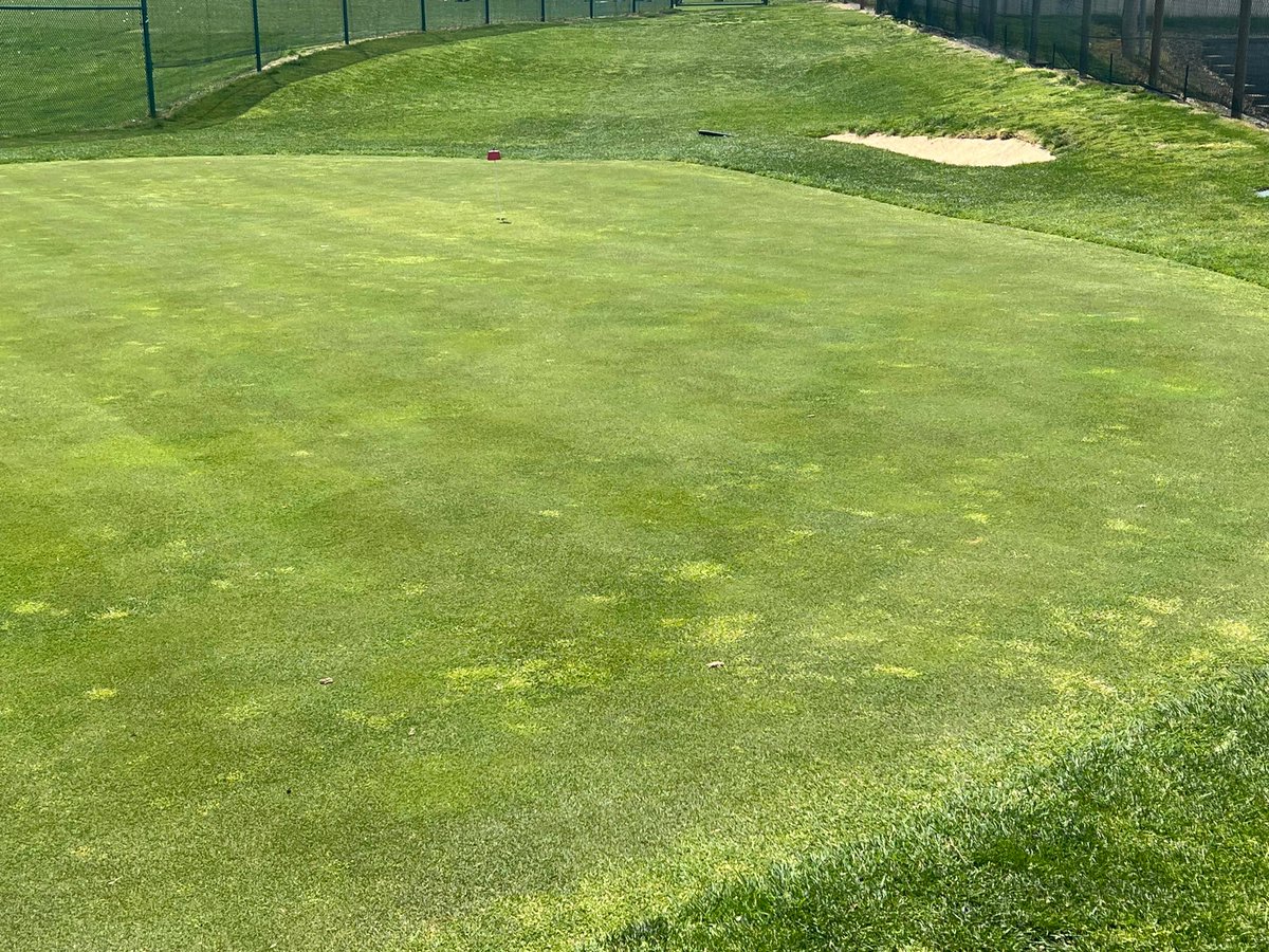 Cave Spring Golf Center tweet media