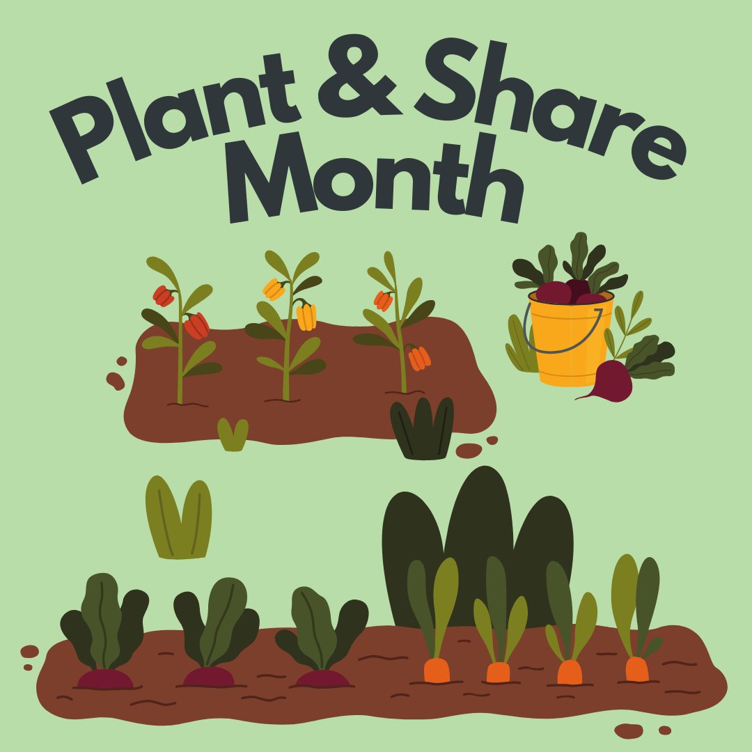 Plant & Share Month starts today! 🌱

If you've been looking to get your growing activities off the ground, have a read of @SAfoodforlife's website for resources, tips and tricks to get you started, and how you can grow potatoes in a bag! 🌿

fflgettogethers.org/get-involved/p…