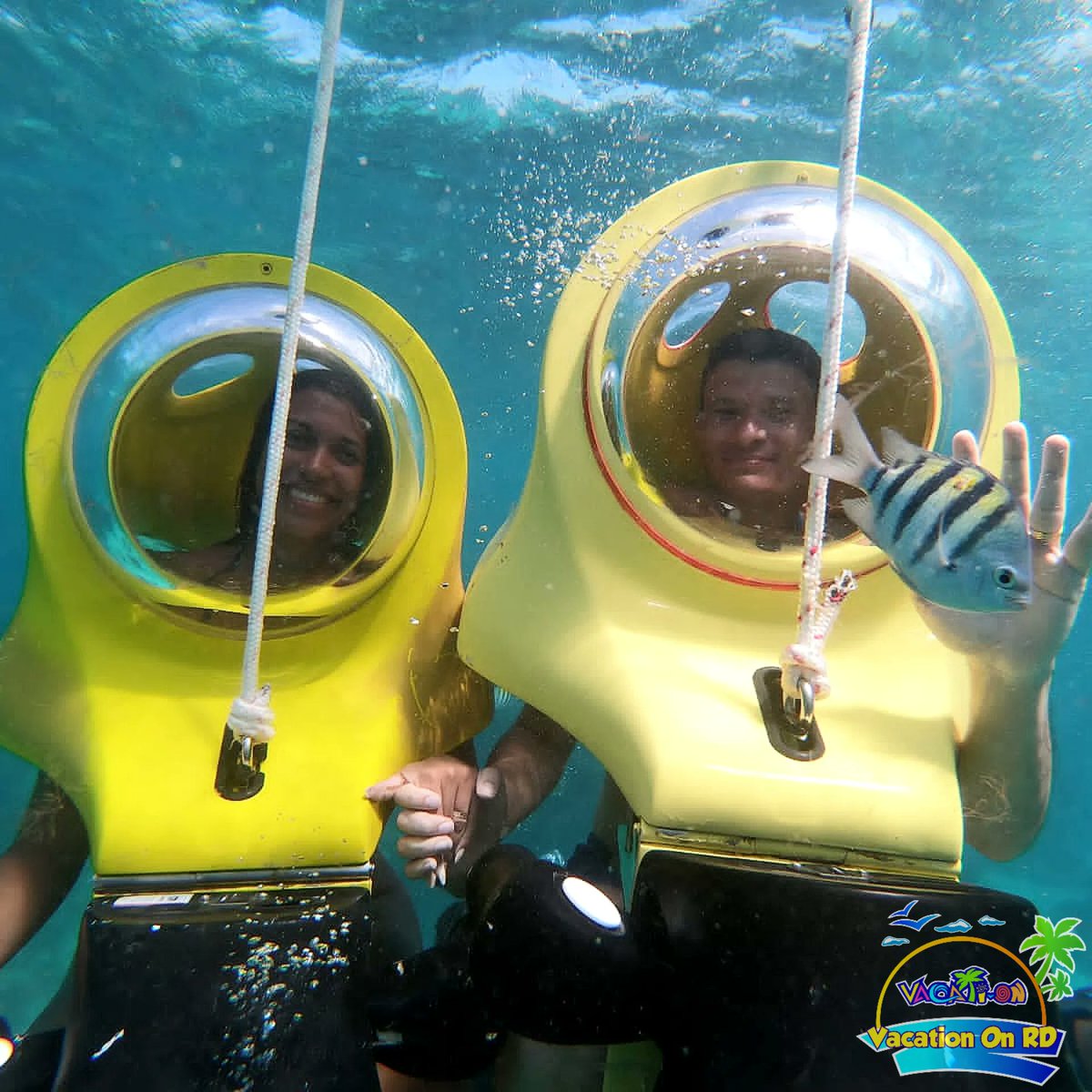 vacationonrd's tweet photo. immerse yourself in the possibility of discovering the greatness of underwater life✨🐠

#scubadoo #scubadiving #puntacana #republicadominicana #bavaro #iloverd #rd #gorepdom #gorepublicadominicana #riubambu #hardrockpuntacana https://t.co/pt6Ajf0kn2