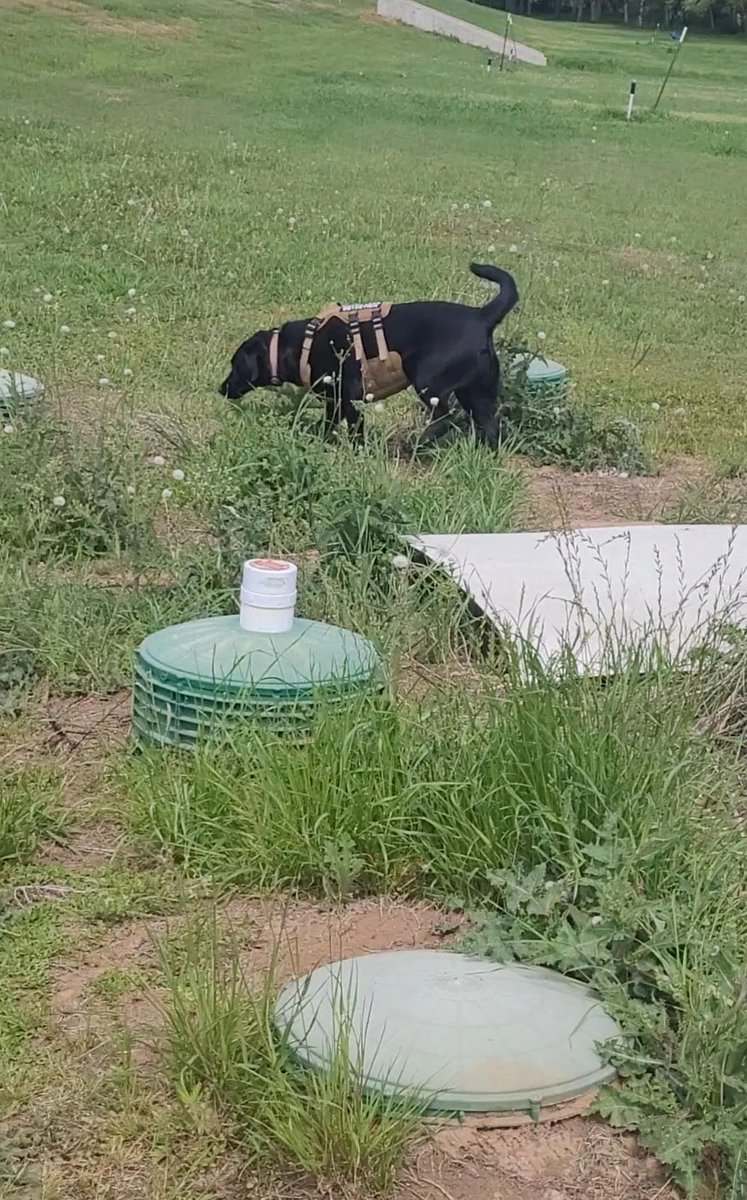 AquaDetection's tweet photo. K9 JUBEL does his part to help reduce non revenue water loss for sustainability of our vital natural resource. 
Earth Day 2023

#k9jubel #earthday #water #dog https://t.co/5F5pnV2Z0W