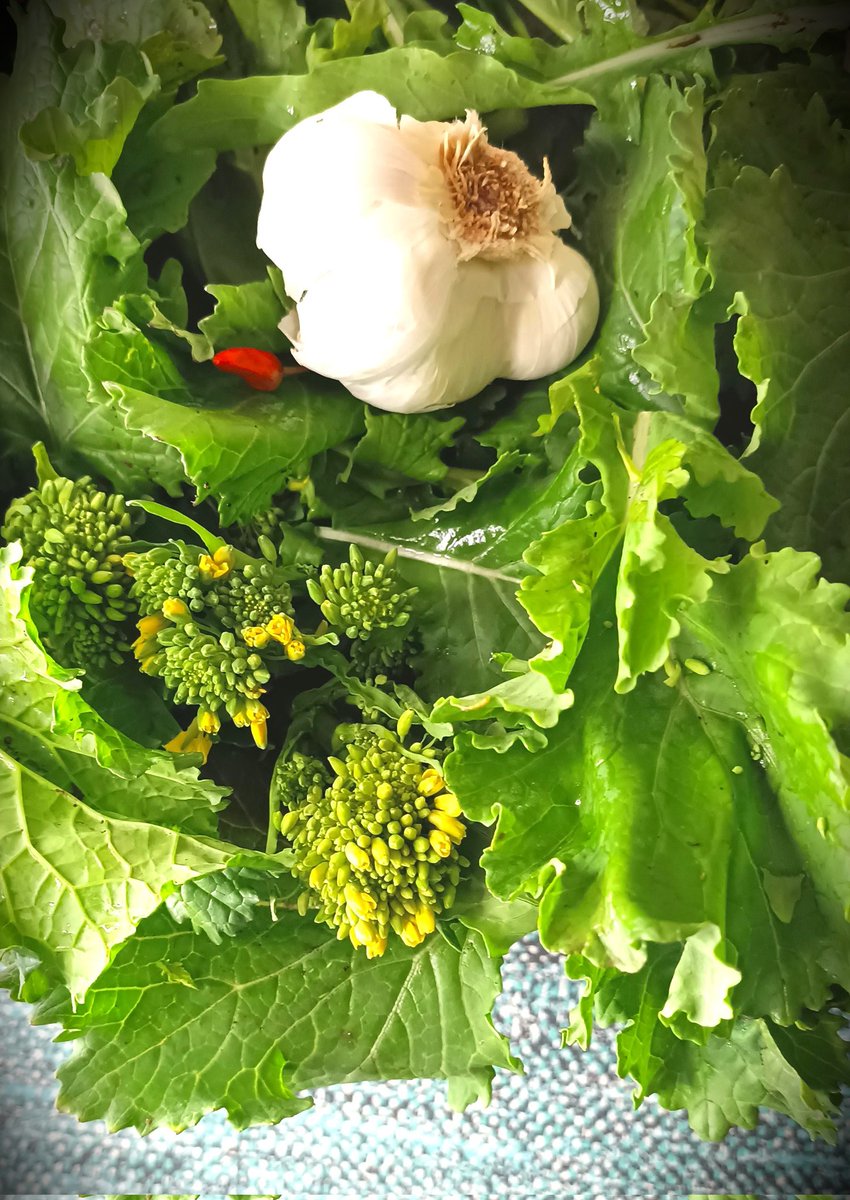 pallideidee's tweet photo. Verde "Friariello"
#ColorColor
#NapulèMilleCulur https://t.co/AKZSPBZ6an