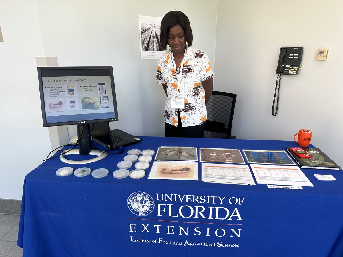 UFIFAS_IRREC's tweet photo. For #EarthDay 2023 we celebrate #EarthUniversity visiting scholar Grace Amponsah, and her work in the #EntomopathogenicFungi Research Laboratory.
@UF_IFAS @UFEntNem https://t.co/HUoKWa54uf