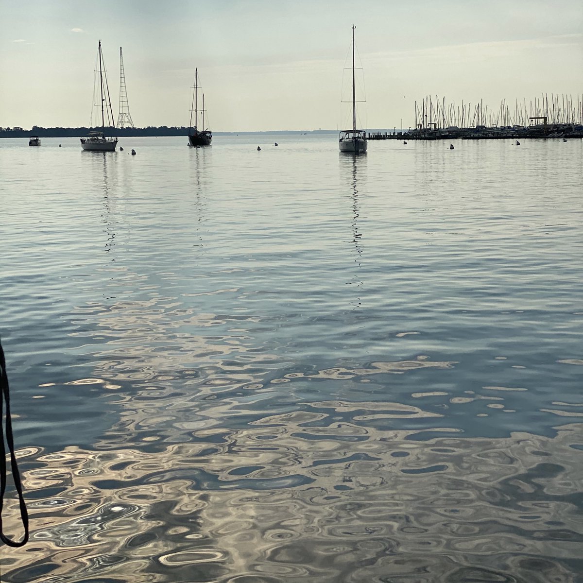 shopModernLusso's tweet photo. EARTH DAY 🌎 

Annapolis, MD is our home away from home, and we are so happy to be able to host our brand here! https://t.co/JaCwXbQB19